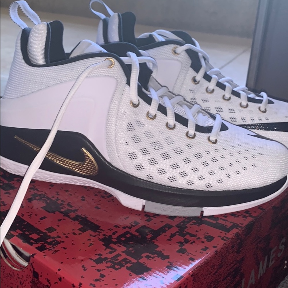 LeBron James Nike Witness Zoom
